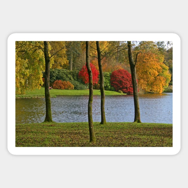 Autumn Splendour Sticker by RedHillDigital